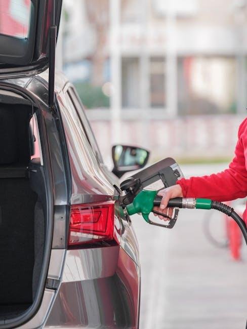 Local⁣ Favorites: Regional Delicacies⁣ Found at Your Neighborhood Gas Station