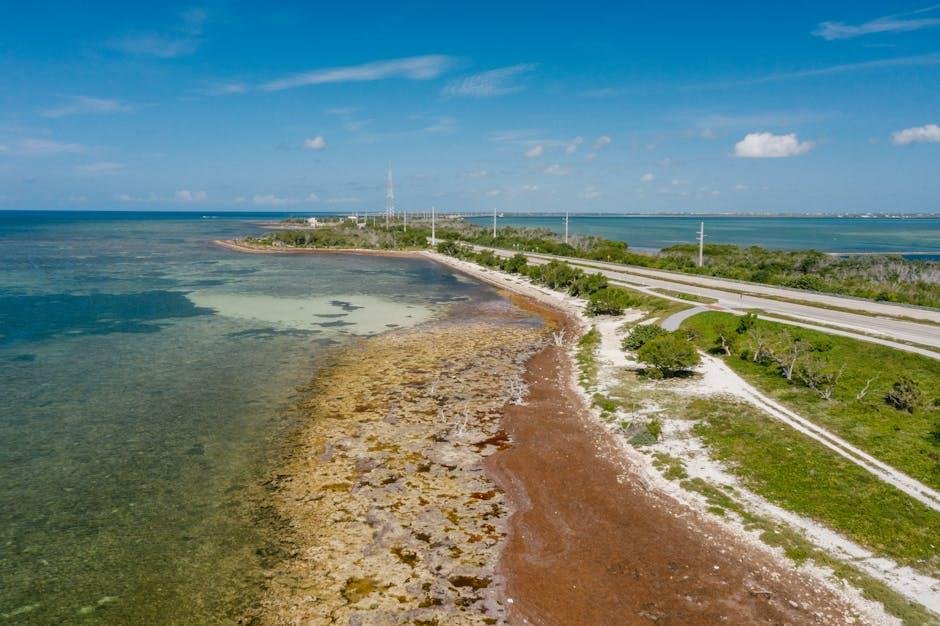 Exploring Coastal Majesty: The Allure of Oceanfront Routes