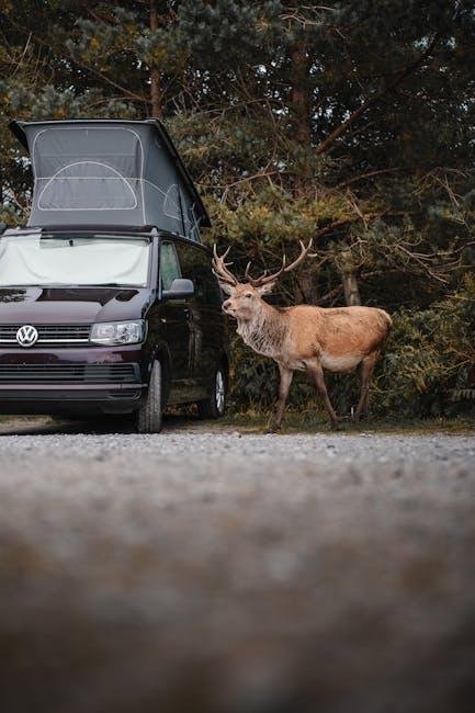 Exploring the Great Outdoors: The allure of RV vs. car Camping