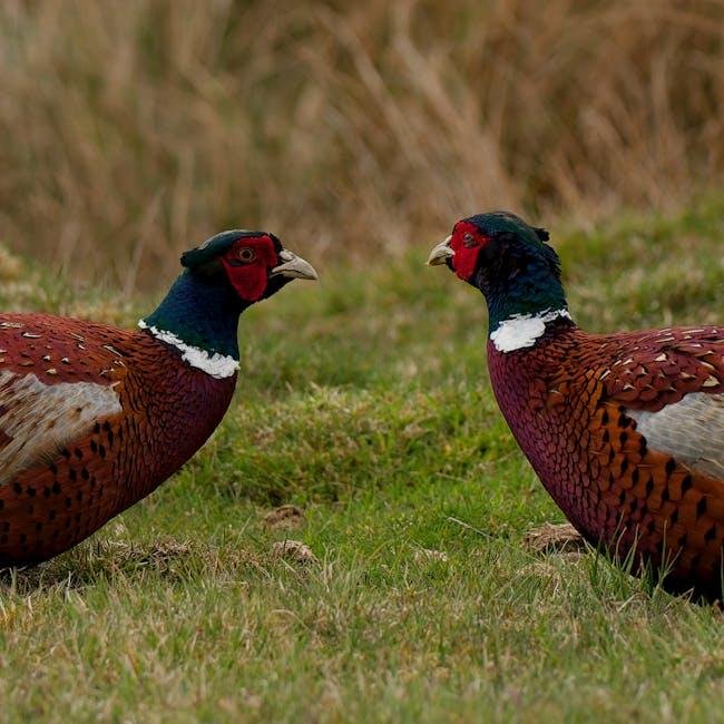 wildlife Encounters: Best Practices for Safe and​ Memorable Viewing