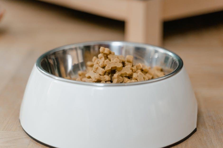Maintaining Your Pet's Health and Well-Being on the Road