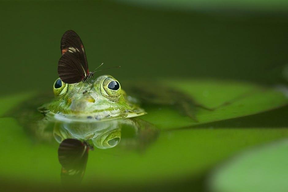 Wildlife Encounters: ‌Best Locations for Animal Watching