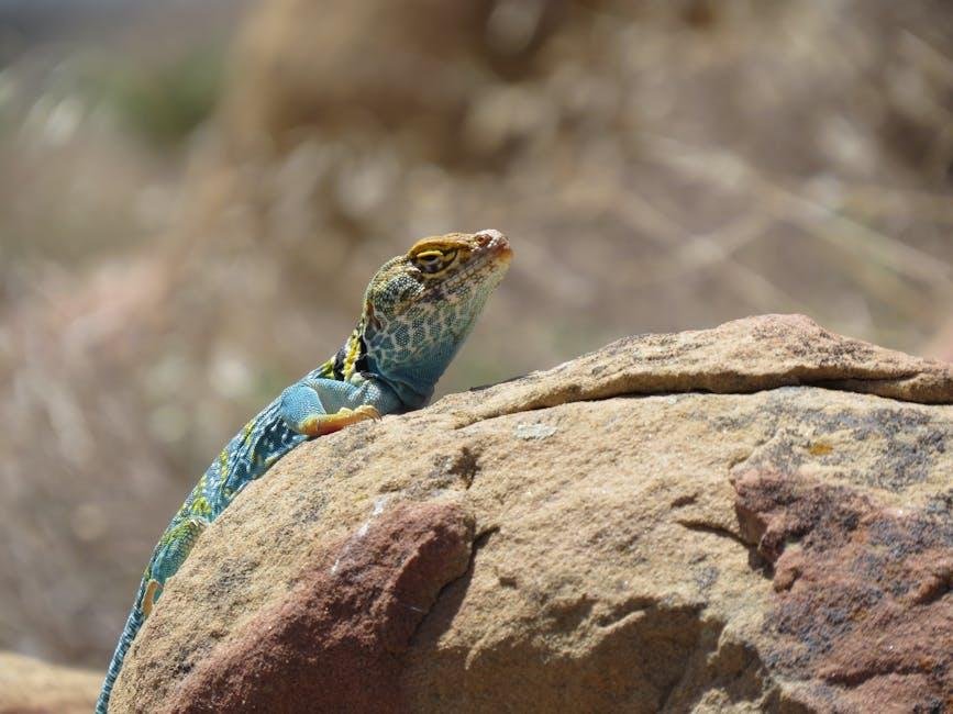 Unraveling the Hidden Gems of Mesa Verde National Park
