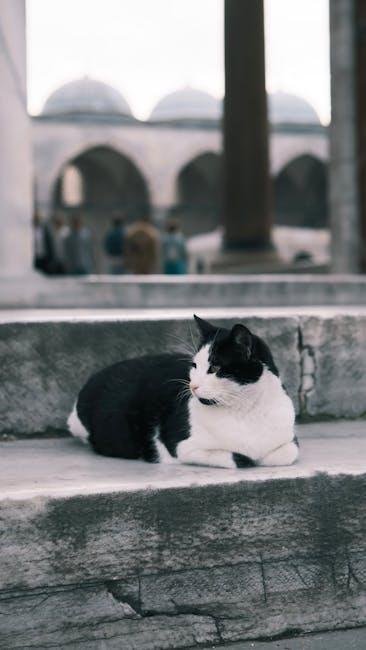 Essential Preparations for a Smooth Journey with Pets