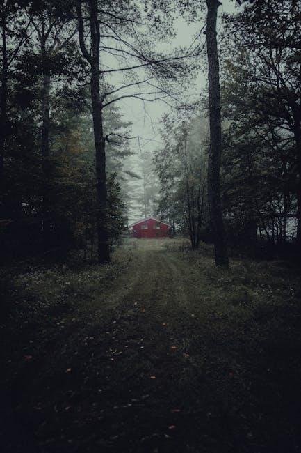 Secluded Gems: A Journey Through Lesser-Known Northeast Trails