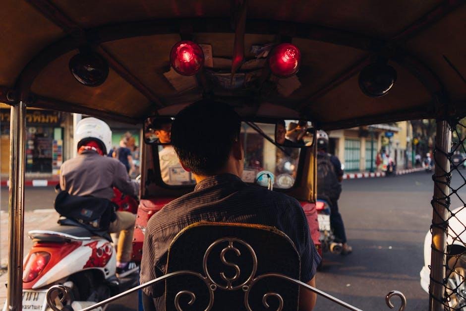 Understanding Local Driving Laws and Regulations