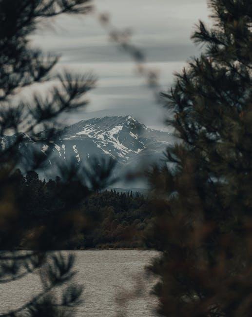 Discovering Enclaves of Serenity Beyond⁣ Borders