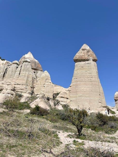Unique Flora and ​Fauna: The Biodiversity ⁢of Lesser-Known ‌Parks