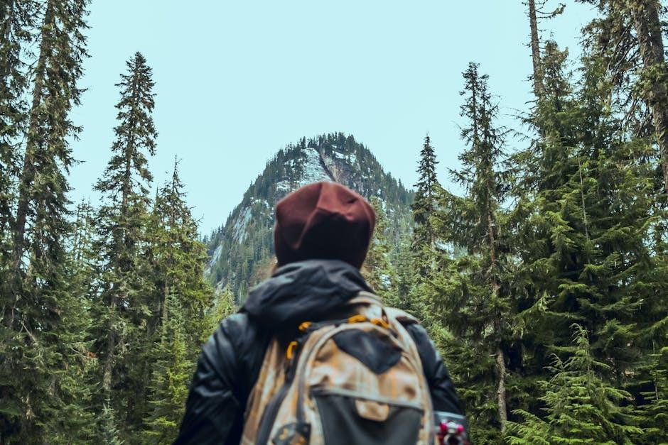 Exploring the Tranquility of the Pacific Northwest