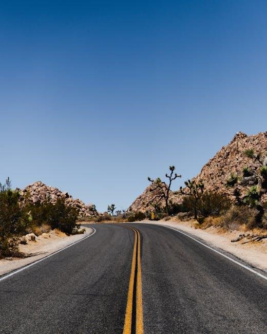 Discover the Desert Beauty of Joshua Tree