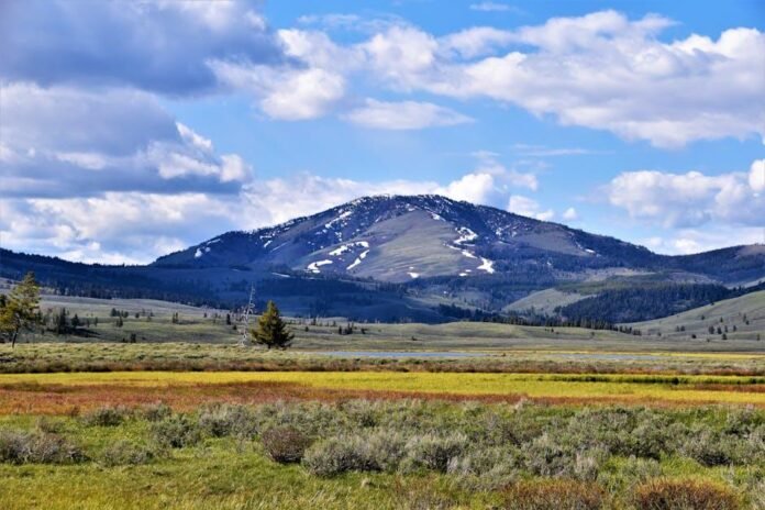 Visiting Yellowstone: What You Should Know